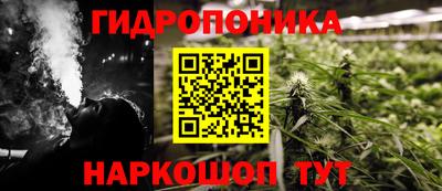 Альфа ПВП Рузаевка