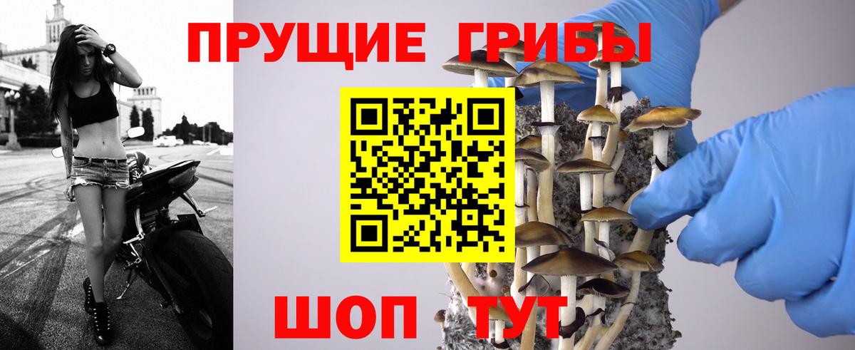 Галлюциногенные грибы мухоморы  Галлюциногенные грибы Psilocybe  Прокопьевск  Вход с VPN 